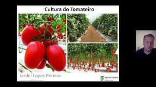 Aula 12: Cultura do Tomate  - Parte 2