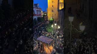 Lunes Santo en Sevilla... 🎥lulufernandezzv #semanasanta #ssantasevilla24 #marcha #catedral #rocío