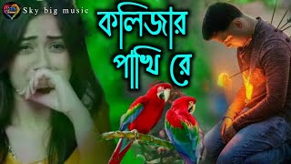 কলিজার পাখি রে || Kolijar pakhi re || ‎@skybigmusic  #bukfatakostergan #kolijarpakhire