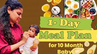 10 MONTH BABY ( 1 DAY - FOOD ROUTINE ) - BREAKFAST LUNCH DINNER #babyfood #babynutrition  #telugu