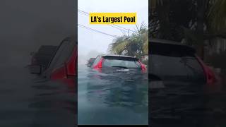 Early Summer In LA #funnyvideo #shorts#trending #viral