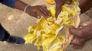 Village Diaries: Enjoy Sri Lankan Fresh Village Fruits