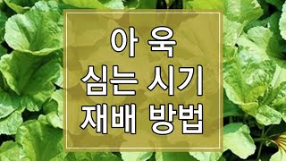 2023년 아욱 심는 시기 및 재배방법 알아보기