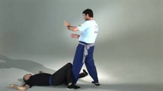 Wing Chun's Biu Jee Applications (HD)