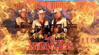 Los Armadillos De La Sierra 🎸 Las Mejores Canciones Corridos Y Rancheras Mix 2024