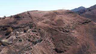 Pinos de Gáldar (Moya,Guia,Gáldar, Gran Canaria)