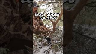 Picking up early season ELK sheds! 😮 Which is your favorite? #Elk #ShedHunting #ElkSheds