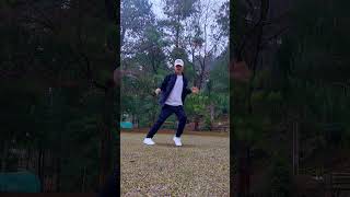 Boi Angel - Fly With You | Siikhe Lake | ziro | #northeastshuffledance #dance