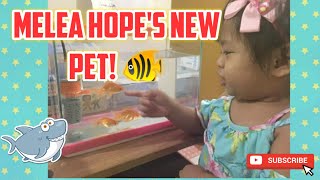 Melea Hope's New Pet! ❤️🐟