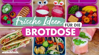 Schnelle & frische Brotdosen Ideen | Schule - Kita - Ferien | Lunchbox | mamiblock