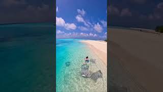 Maldives Island 🏝️ #shorts #video