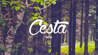 Protiva - Cesta [slowed + reverb]