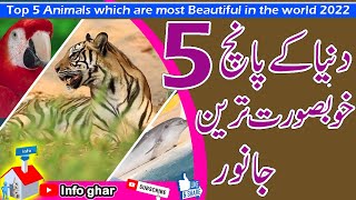 Top 5 most beautiful animals in the world | #animals | #infoghar