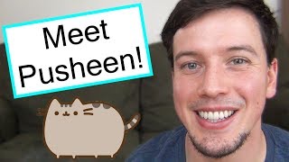 All About Pusheen, The Internet's Cutest Kitty!