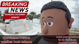 Dunedin Causeway Hurricane Helene update with Dr. Fluff.