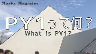 PY1って何？what is Py1?