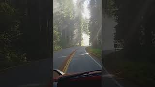 Klamath, CA: Cruising through the REDWOODS along the Pacific Coast