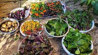 End Of The Season Harvest || Bangladeshi Vegetables Garden In UK || Shokher Bagan 2023