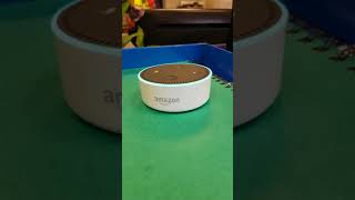 Green Date skill for Alexa