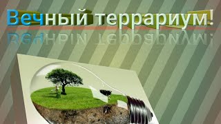 Делаем вечный террариум!