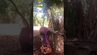 Iniciando uma pequena granja