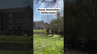 Weesp Amsterdam #shorts