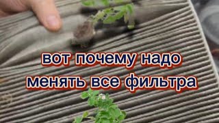 Вот почему надо менять все фильтра