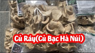 Củ Ráy Khô(Củ Bạc Hà Núi) Mơ Ở Đâu Và Bao Nhiêu Tiền