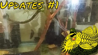 Fish Room Updates #1