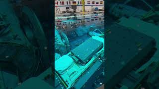 One Of The Largest Pools In The World tiktok epic spaceflight