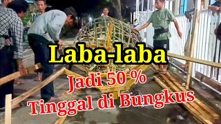 50 % Laba- Laba, siap merangkak dijalan