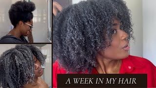 I WORE OUT MY 4B/ 4C HAIR FOR A WEEK! | ANTHONY DICKENS METHOD? | HAIR VLOG #1 + natural hair tips