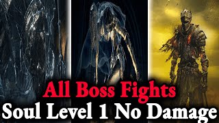 Dark Souls 3 All Non-DLC Bosses SL1 No Hit / No Damage