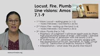 Amos Part 6   Vertical Chart Helps Amos 7 9