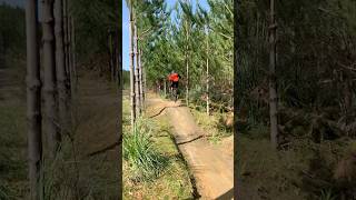 Learning how to whip #mtb #bike