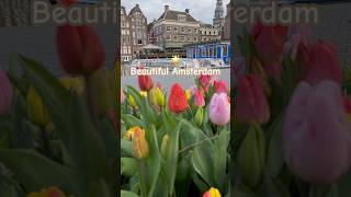 Beautiful Amsterdam | #shorts #shortvideo #amsterdam #netherlands #world #explore #travel #water