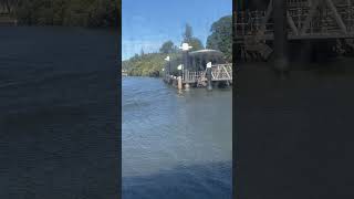 Sydney Ferry F3 Kurt Fearnley arriving at Parramatta Wharf