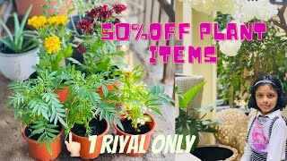 Sultan garden center jeddah  |best place for plants in jeddah |vlog