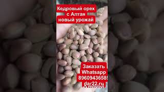 КЕДРОВЫЙ ОРЕХ С АЛТАЯ 89609436585