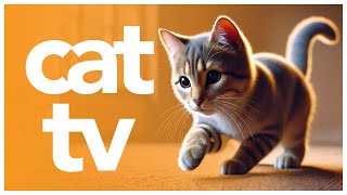 CAT TV | Entertainment for Cats to Watch! Bird Watching Video + Sounds  🐱