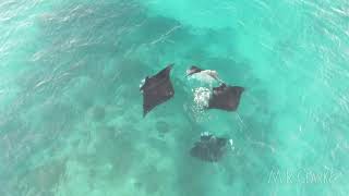 The Manta Ray Train, Heron Island