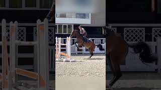 Мой тренер - мой кумир ❤️ #лошади #лошадь #конныйспорт #конкур #horse #equestrian #showjumping