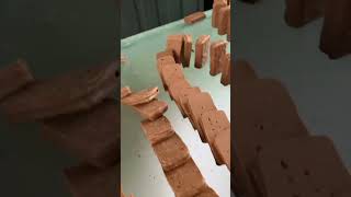 Norme's chocolate domino chain