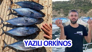 Palamut Çaparisiyle Yazılı Orkinos Tuttuk - Saros Körfezi Yayla