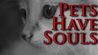 Do Pets Have Souls