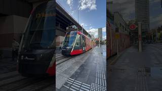 #sydneylightrail Alstom Units X55 & X56 Depart #circularquay Bound for Randwick #shorts #travel