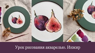 Урок рисования акварелью. Инжир