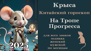 Китайский гороскоп 2025 - Крыса На Тропе Прогресса #крыса #восточный #гороскоп #2025 #удача #успех