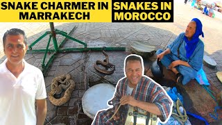 JEMAA EL FNAA MARRAKECH SNAKE CHARMERS | MUST VISIT IN MARRAKECH | MOROCCO TRAVELS IN MARRAKECH