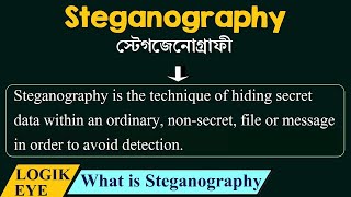 Steganography Tutorial | How to hide information inside the image | Cybercrime